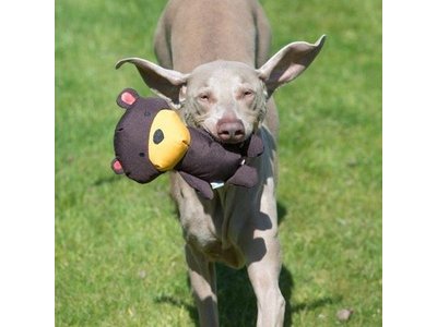Beco Pets Pluche Knuffelbeer voor Honden