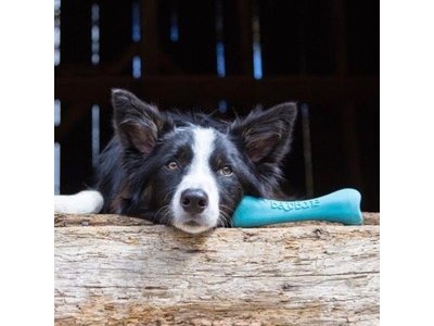 Flexibel Kauwbot van Rubber voor Hond