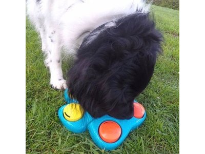 Interactief Puppy Speelgoed