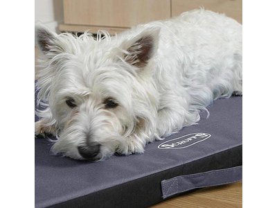 Scruffs Vuil- & Waterafstotend Hondenmatras voor Binnen & Buiten