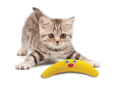 Kattenkruid Speelgoed voor Katten