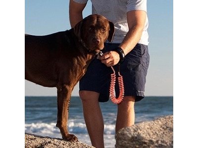 K9 Jogginglijn voor Hardlopen met je Hond