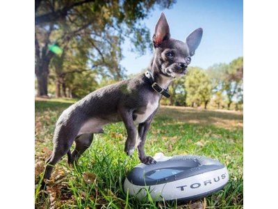 Design Drinkbak met Filter voor Honden