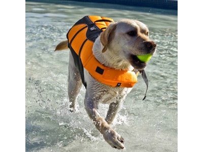 Zwemvest voor Honden. Zeer geschikt voor de Boot!