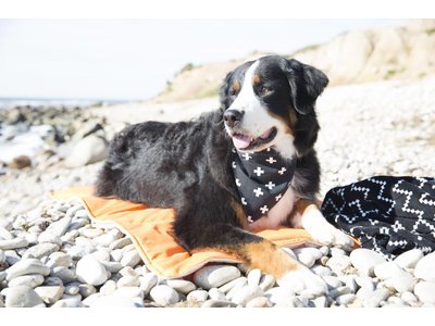 Territory Honden Bandana in Zwart/ Groen