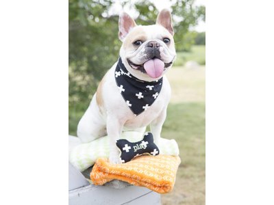 Territory Honden Bandana in Zwart/ Groen