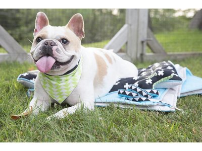 Territory Honden Bandana in Zwart/ Groen