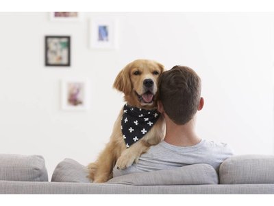 Territory Honden Bandana in Zwart/ Groen