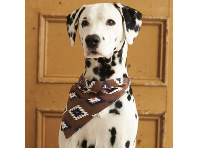 Territory Trendy Bandana voor Honden