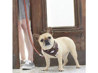 Territory Trendy Bandana voor Honden