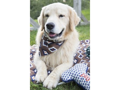 Territory Trendy Bandana voor Honden