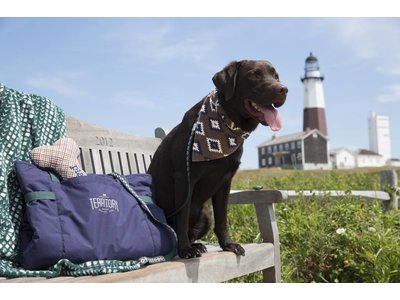 Territory Trendy Bandana voor Honden