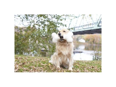 Tall Tails Honden Speelbot van Pluche met Pieper