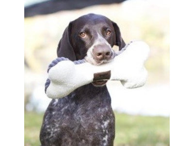 Tall Tails Honden Speelbot van Pluche met Pieper