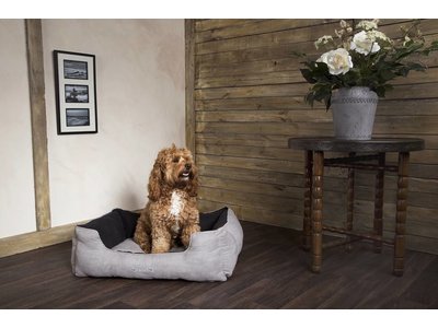 Scruffs Hondenmand Extra Comfortabel in Grijs & Zwart