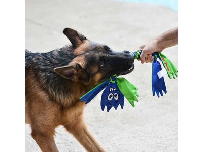 Jolly Flathead voor Honden die van Schudden & Trekken houden