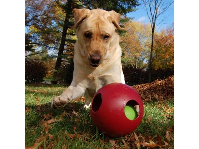Jolly Teaser Speelbal voor Honden Bijtbestendig