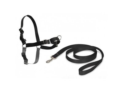 Easy Walk Anti Trek Tuig, De Riem en Harnas voor Trekkende Hond