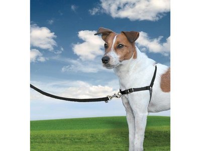 Easy Walk Anti Trek Tuig, De Riem en Harnas voor Trekkende Hond