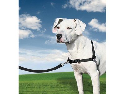Easy Walk Anti Trek Tuig, De Riem en Harnas voor Trekkende Hond