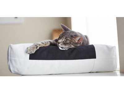 myKotty Comfortabel Kussen voor Katten