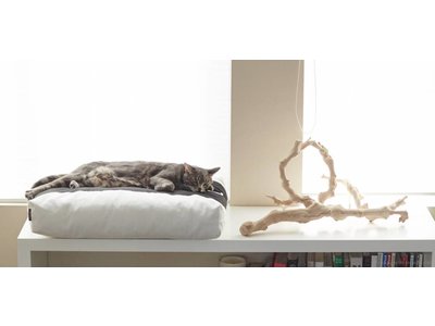 myKotty Comfortabel Kussen voor Katten