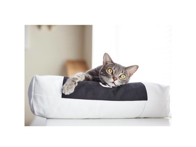 myKotty Comfortabel Kussen voor Katten