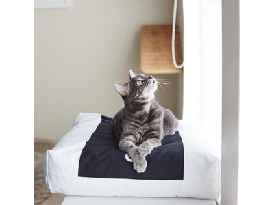 myKotty Comfortabel Kussen voor Katten