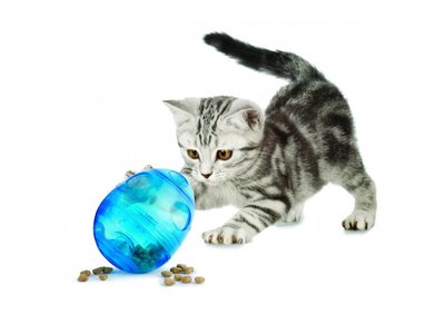 Speelgoed voor Kitten Egg-Cersizer