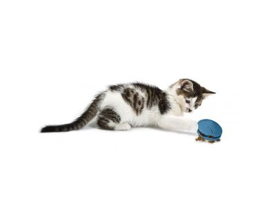 Petsafe Snackbal voor Katten Twist 'n Treat