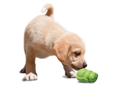 Busy Buddy Squirrel Puppy Speelgoed voor Brokjes