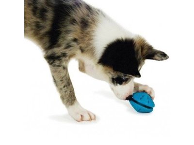 Busy Buddy Puppy Speeltje Interactief voor Traktaties