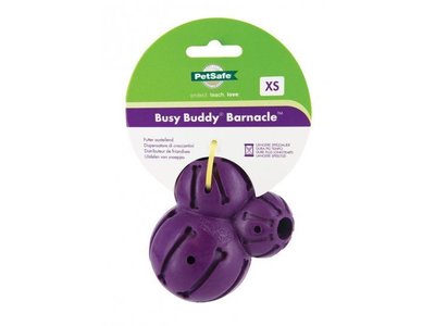 Busy Buddy Honden Kauwspeeltje Barnacle