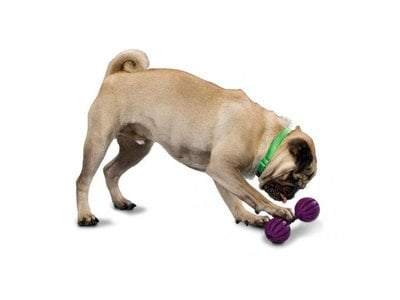 Busy Buddy Honden Kauwbot voor Brokjes