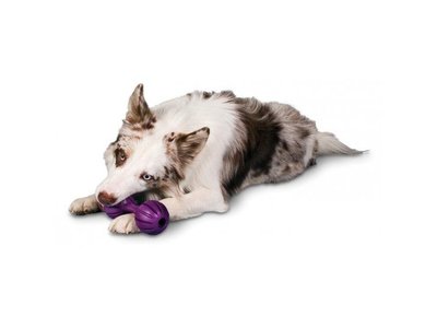 Busy Buddy Honden Kauwbot voor Brokjes