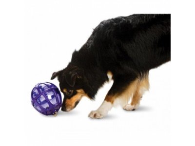 Busy Buddy Honden Snackbal Kibble Nibble