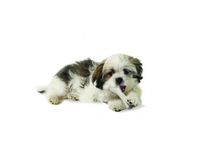 Petstages Duurzaam en Veilig Kauwbot voor Honden