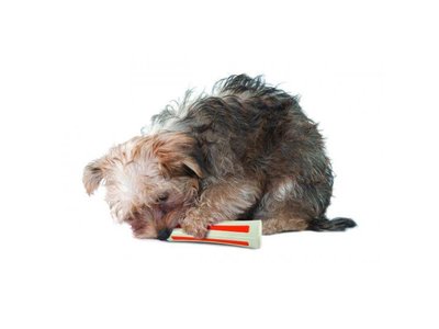 Petstages Stevig Kauwbot voor Honden met Natuurlijke Geur