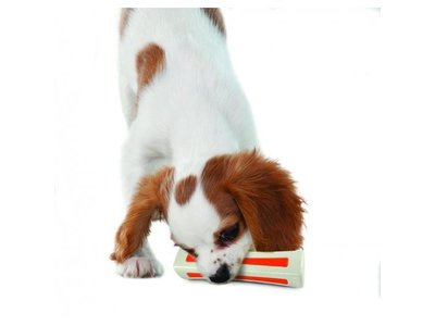 Petstages Stevig Kauwbot voor Honden met Natuurlijke Geur