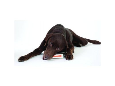 Petstages Stevig Kauwbot voor Honden met Natuurlijke Geur