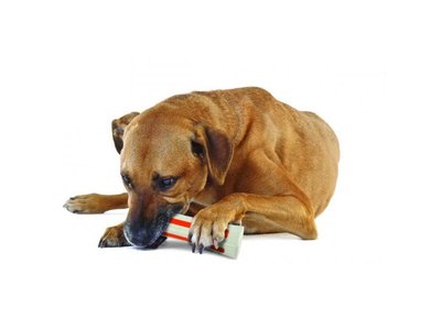 Petstages Stevig Kauwbot voor Honden met Natuurlijke Geur