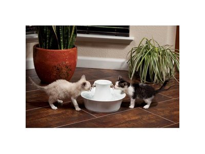 Drinkwell Waterfontein voor Katten van Keramiek 2 liter