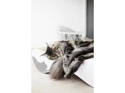 myKotty Trendy Kat Krabmeubel in Bruin
