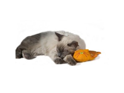 Kitty Cuddle Pal Kalmerend Speeltje voor Kat en Kitten