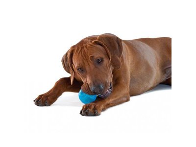 Orka Tennisbal voor Honden Extra Sterk