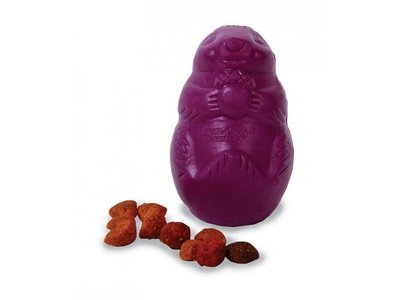 Busy Buddy Squirrel Sterk Hondenspeelgoed voor Snacks