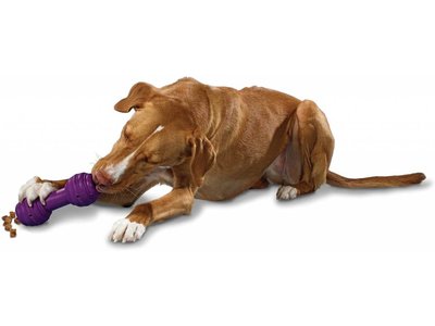 Busy Buddy Sterk Honden Speelbot Voor Snacks
