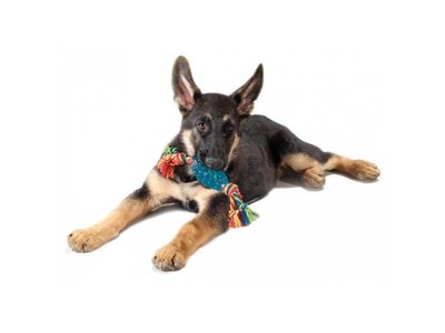 Petstages Sterk Kauwspeeltje voor Pups