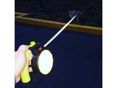 Wigzi Oprolbare Reflecterende Hondenriem met Gel Handvat