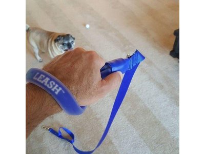 Comfortabele Hondenriem met Gel Handvat in Blauw, Roze en Rood